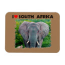 Recherche de taureaux magnets Animal