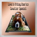 Suche nach spaniel poster Dog