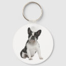 Suche nach french bulldog schlüsselanhänger Puppy