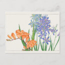 Recherche de freesia cartes postales Fleur