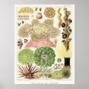 Suche nach great barrier reef poster Vintage