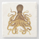 Recherche de poulpe dessous de verres Océan