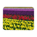 Recherche de de tulipe magnets Pour tous