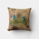 Suche nach vogel kissen Vögel