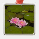 Suche nach seerose ornamente Lilie