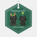 Recherche de personne de chat ornements Noël