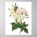 Recherche de illustration antique posters Fleurs