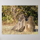 Suche nach ausrichtung poster Horizontal