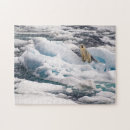 Recherche de polaire puzzles Glace