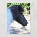 Recherche de peintures de cheval cartes postales Poney