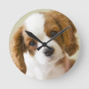 Recherche de épagneul horloges Animal