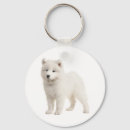 Recherche de chien blanc porteclés Amour