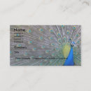 Recherche de conception de paon cartes visite Professionnel
