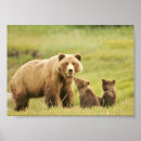 Suche nach cube poster Bear