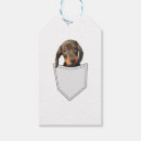 Suche nach lustige dackel geschenkanhänger Weimaraner