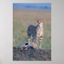 Recherche de 24x36 posters Pour tous