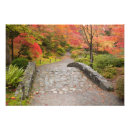 Suche nach rote bäume poster Herbst