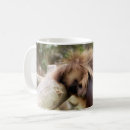 Recherche de singes tasses Pour enfants