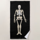 Suche nach skeleton Anatomisch