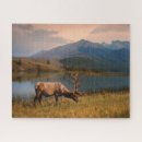 Recherche de alberta puzzles Parc national jasper
