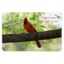 Suche nach tauchen magnete Vogelbeobachter