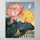 Suche nach bohne poster Botanisch