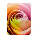 Recherche de affection magnets Anniversaire