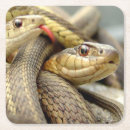 Suche nach schlangen untersetzer Reptil