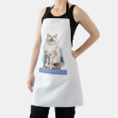 Recherche de adorable chaton tabliers Félin