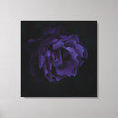 Suche nach lila rose kunst Fotografie