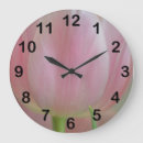 Recherche de fleurs de tulipes horloges Photographie