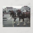 Recherche de 1980 cartes postales New york