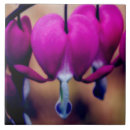 Recherche de coeur floral carreaux Fleurs