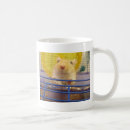 Recherche de gerbille Animal familier