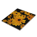 Recherche de yeux carreaux Rudbeckia