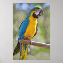 Suche nach perch poster Natur
