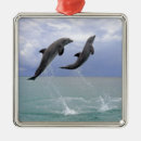 Suche nach delfine ornamente Delphine