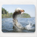 Suche nach kanada tag mousepads Vertikal