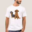 Recherche de dashund Saucisse
