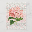 Suche nach vintage hydrangea postkarten Natur