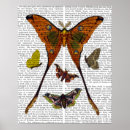 Suche nach motten poster Blatt