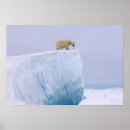 Suche nach steve kazlowski poster Alaska