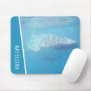 Recherche de baleine tapis souris Requin