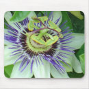 Recherche de passion tapis souris Fleur