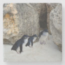 Suche nach pinguine untersetzer Tierwelt