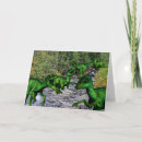 Recherche de velociraptor cartes postales Reptile