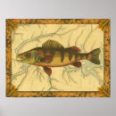 Recherche de peche posters Poissons