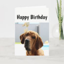 Suche nach mittelalter karten Lustig