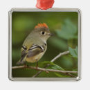 Recherche de roitelet ornements Oiseau