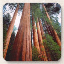 Suche nach frank untersetzer Danita separont